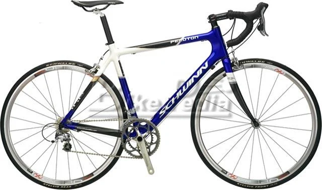 2008 Schwinn Peloton