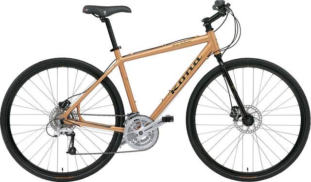 2008 Kona Dew Deluxe