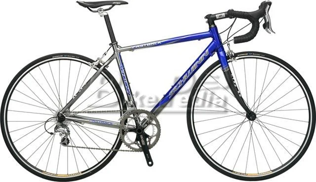 2008 Schwinn Fastback Comp