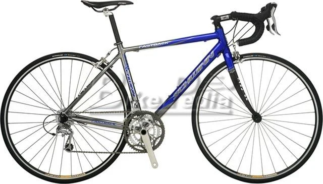 2008 Schwinn Fastback