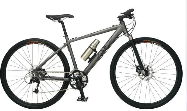 2008 Mongoose Sabrosa 3x9