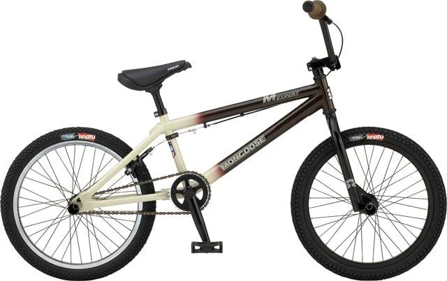 2008 Mongoose Expert