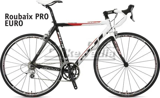 2008 Fuji Roubaix Pro (Euro)