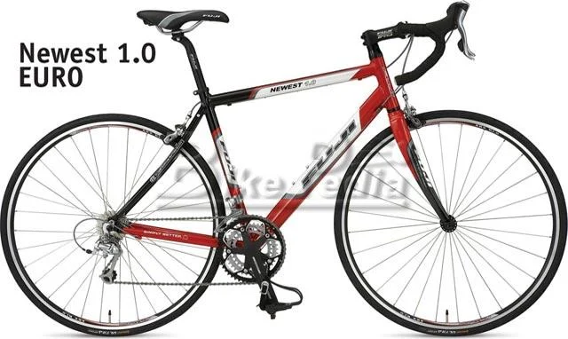 2008 Fuji Newest 1.0 (Euro)