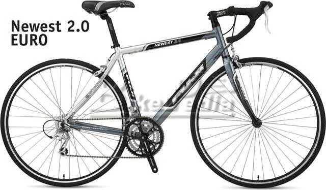 2008 Fuji Newest 2.0 (Euro)