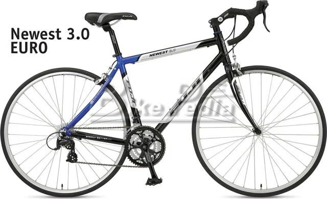 2008 Fuji Newest 3.0 (Euro)