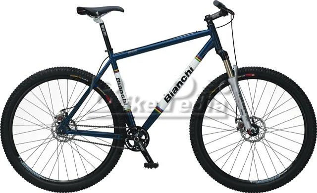 2008 Bianchi Sok 29er Single Speed