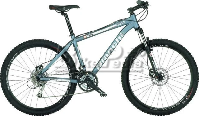 2008 Bianchi Doss 6600