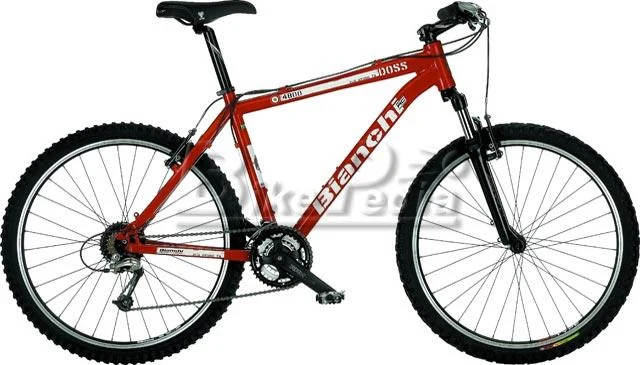 2008 Bianchi Doss 4800