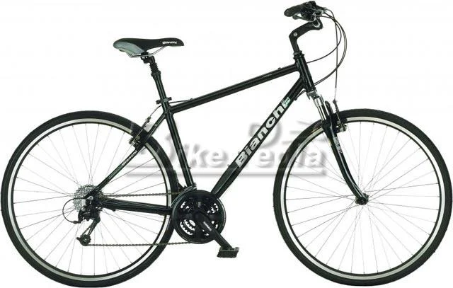 2008 Bianchi Verona
