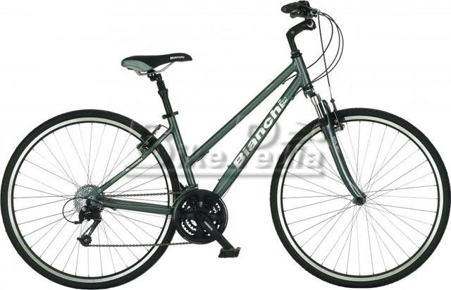 2008 Bianchi Verona Ladies