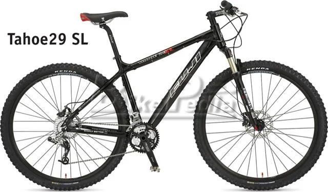 2008 Fuji Tahoe 29 SL