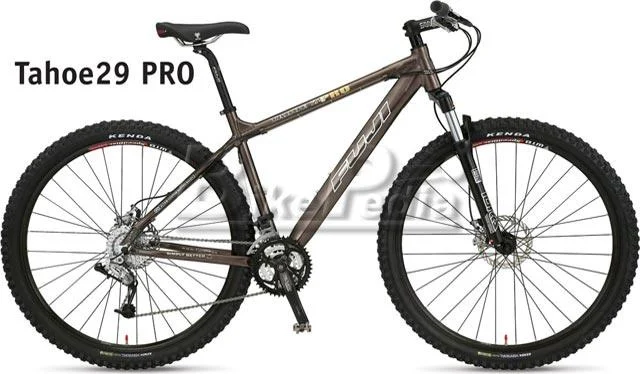 2008 Fuji Tahoe 29 Pro