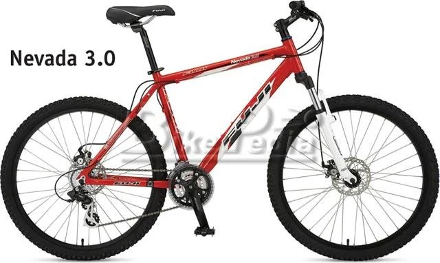 2008 Fuji Nevada 3.0