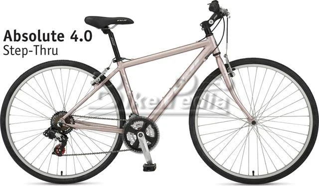 2008 Fuji Absolute 4.0 Ladies