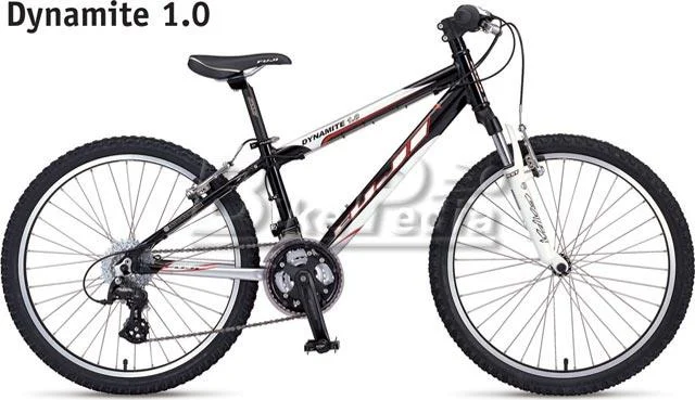 2008 Fuji Dynamite 1.0