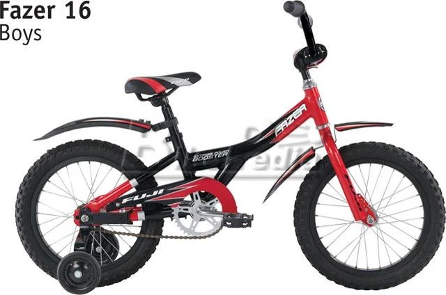 2008 Fuji Fazer 16"