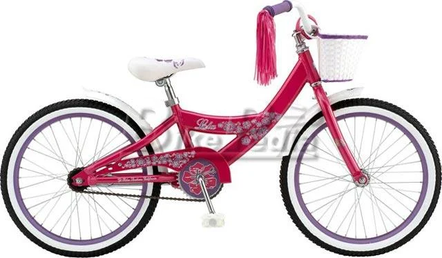 2008 GT Lola 20 Aluminum