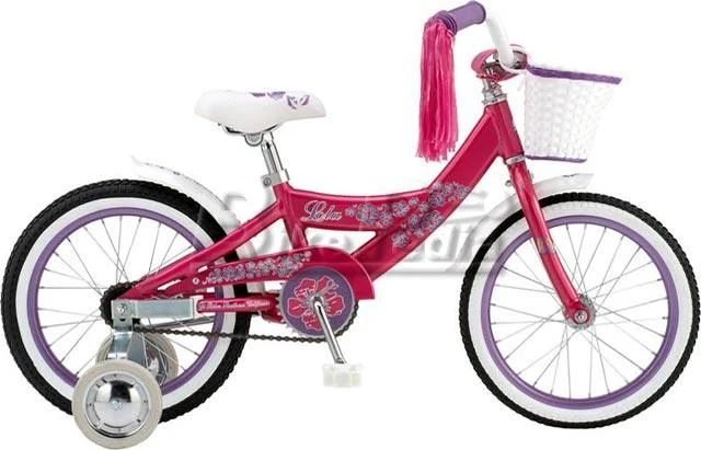 2008 GT Lola 16 Aluminum