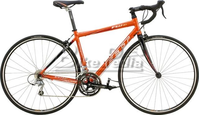 2008 Felt FW40