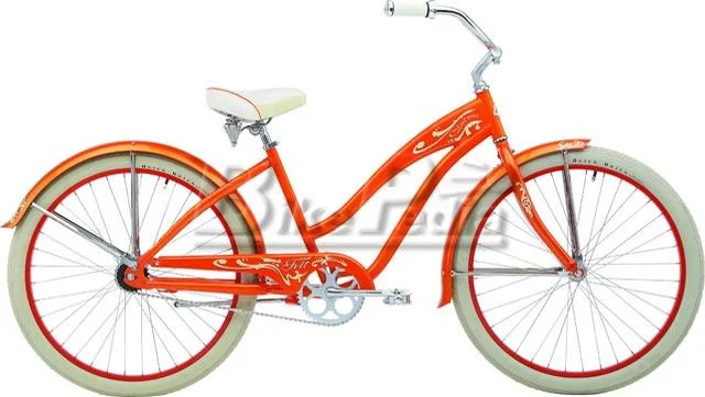 2008 Felt Claire 3-Speed