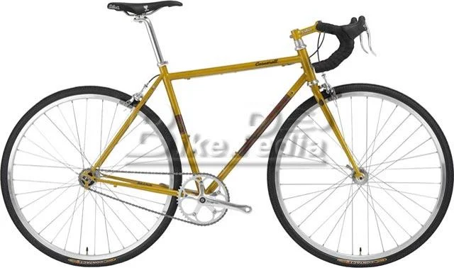 2008 Salsa Caseroll Single