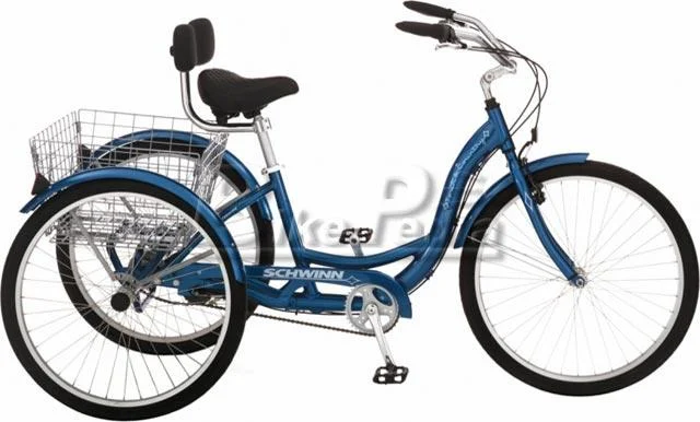 2008 Schwinn Town & Country