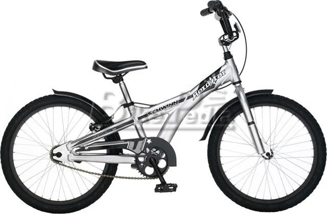 2008 Schwinn Aerostar AL