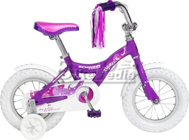 2008 Schwinn Tigress Al