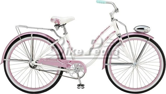 2008 Schwinn Debutante