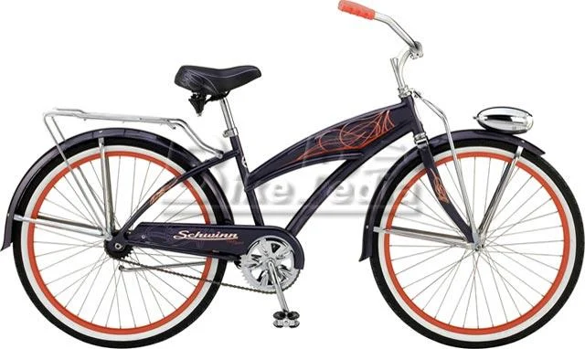 2008 Schwinn DX Sport