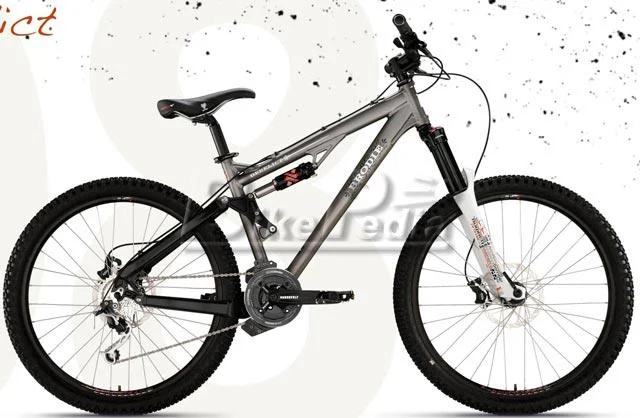 2008 Brodie Derlect