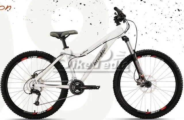 2008 Brodie Hellion