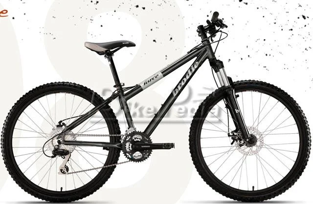 2008 Brodie Force