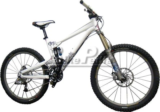 2008 Diamondback Scapegoat