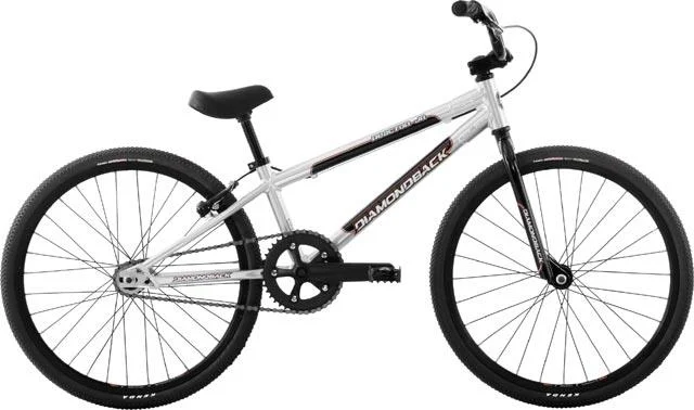 2008 Diamondback Reactor Jr.