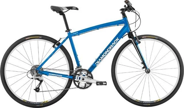 2008 Diamondback Insight 2