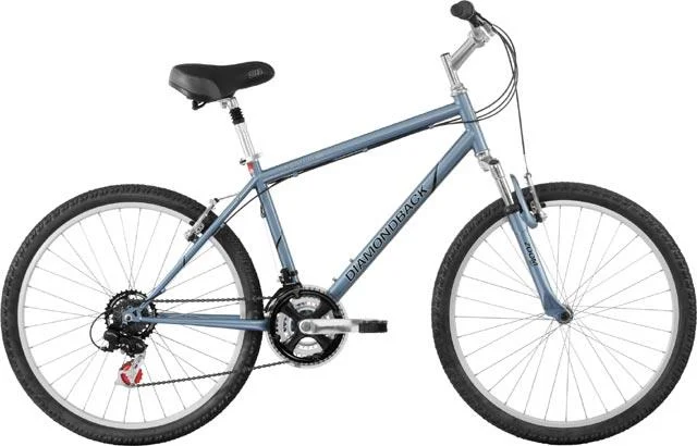 2008 Diamondback Wildwood Citi