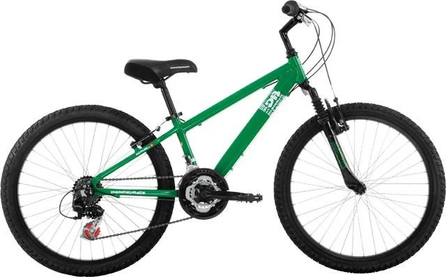 2008 Diamondback Octane 24