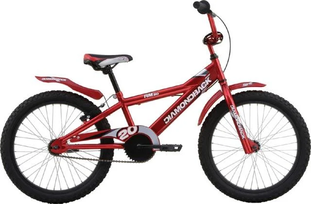 2008 Diamondback RM 20