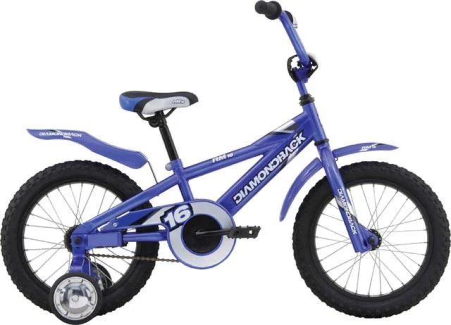 2008 Diamondback RM 16