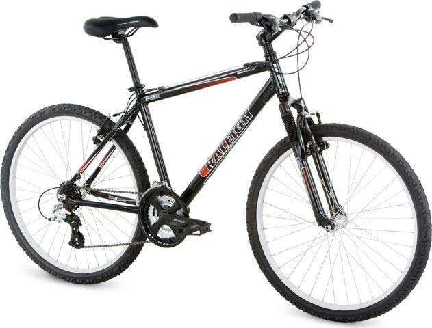 2008 Raleigh Mojave 2.0