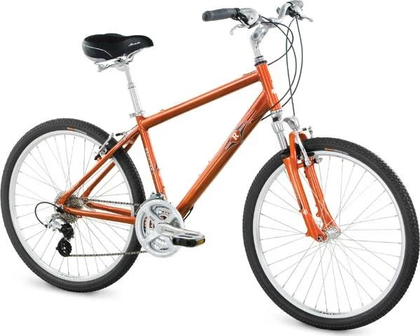 2008 Raleigh Venture 4.0