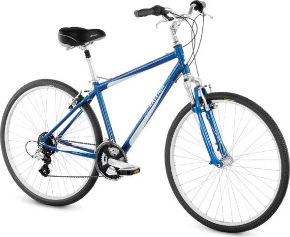 2008 Raleigh Detour 3.0
