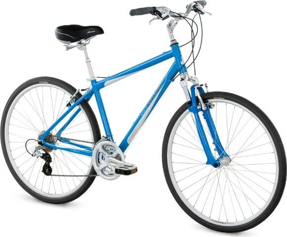 2008 Raleigh Detour 4.0