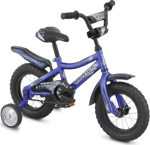 2008 Raleigh MXR Micro