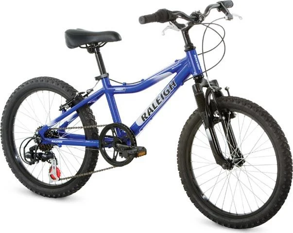 2008 Raleigh Rowdy