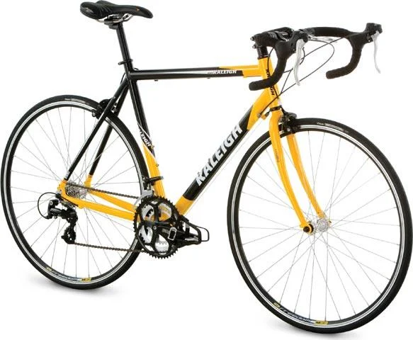 2008 Raleigh Sport