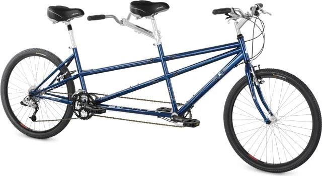 2008 Raleigh Companion