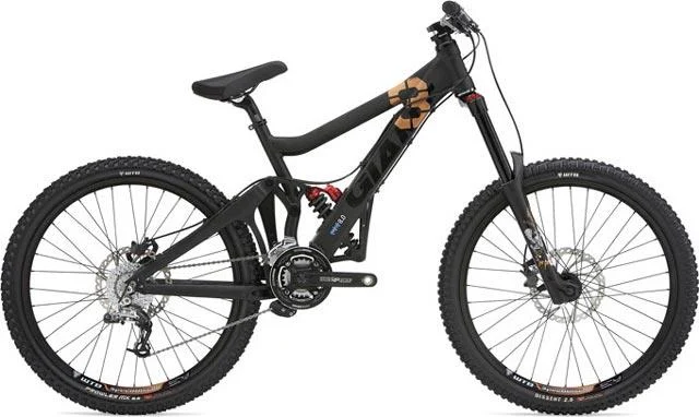 2008 Giant Glory 0